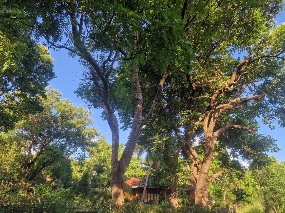 Sigiriya Cottage Exteriör bild